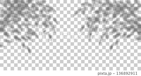 Flower shadow in spring room, tree leaves bg overlay. Light cast tropic plant 3d gobo flatlay. Transparent shade png element, summer branches on white wall. Floral sun texture, window beams mockup 136892911