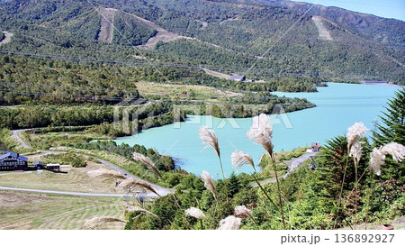 新潟県湯沢町の秋のかぐらスキー場の田代湖 新潟県湯沢町の秋のかぐらスキー場の田代湖 136892927