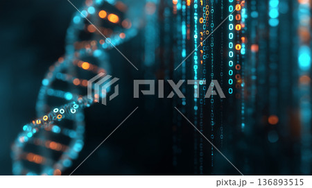 バイナリコードとDNAらせんのデータ解析イメージ｜ゲノム×AI医療テクノロジー（デジタル解析寄り） 136893515