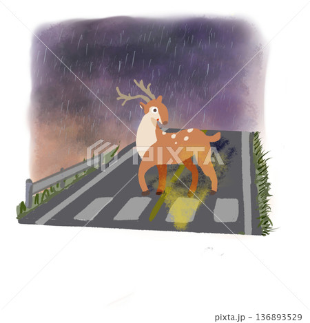 雨の夜に振り向く鹿 山道の飛び出し注意イラスト 雨の夜に振り向く鹿 山道の飛び出し注意イラスト 136893529