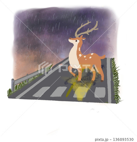 雨の山道で空を見上げる鹿 ― 交通安全・飛び出し注意イラスト 雨の山道で空を見上げる鹿 ― 交通安全・飛び出し注意イラスト 136893530