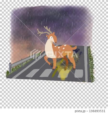 Beware of deer jumping out on rainy nights 136893531