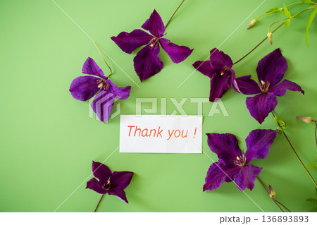 Decorated branch of clematis on bright green background from above Decorated branch of clematis on bright green background from above 136893893