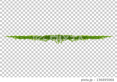 Green creeper plant frame isolated on transparent background for decoration PNG Green creeper plant frame isolated on transparent background for decoration PNG 136895068