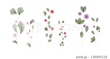Several delicate watercolor botanical elements are arranged on a clean white background. Slender green stems feature various leafy shapes and small blooming flowers in soft pink and purple hues. Several delicate watercolor botanical elements are arranged on a clean white background. Slender green stems feature various leafy shapes and small blooming flowers in soft pink and purple hues. 136895228