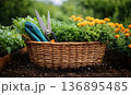 Wicker Basket Overflowing with Garden Greens, Yellow Flowers, Gl 136895485