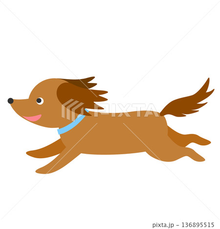走るダックスフントのイラスト 走るダックスフントのイラスト 136895515