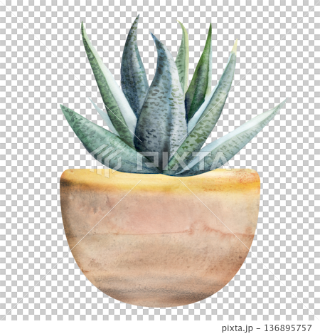 Potted sansevieria snake plant, spiky aloe vera succulent in terracotta clay earthenware cachepot. Isolated illustration hand drawn in watercolor. Handmade candle packaging, green business marketing. Potted sansevieria snake plant, spiky aloe vera succulent in terracotta clay earthenware cachepot. Isolated illustration hand drawn in watercolor. Handmade candle packaging, green business marketing. 136895757