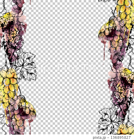 Seamless banner of ripe grape clusters on trailing leafy vine in ink outline with watercolor bleed backdrop. Isolated illustration hand drawn for winery stationery, product trims, fruit drink menu Seamless banner of ripe grape clusters on trailing leafy vine in ink outline with watercolor bleed backdrop. Isolated illustration hand drawn for winery stationery, product trims, fruit drink menu 136895827