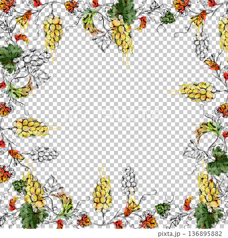 Vineyard foliage with ripe plump grape clusters hanging on curvy vines. Natural watercolor and ink square frame for culinary branding, wine bottle packaging, restaurant menus, tour travel brochures 136895882