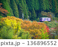 秋の「あまつぼし」 136896552