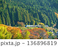 秋を駆けるはくと 136896819