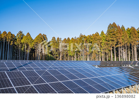 針葉樹林の間に設置されたソーラーパネル 136898082