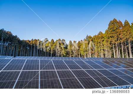 針葉樹林の間に設置されたソーラーパネル 136898083