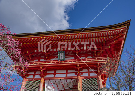 古都京都の風景 古都京都の風景 136899111