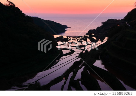 【佐賀県】浜野浦の棚田の夕景 136899263