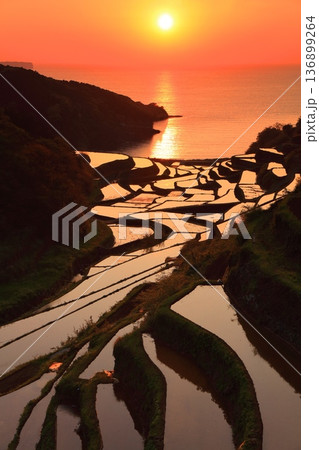 【佐賀県】浜野浦の棚田の夕景 136899264