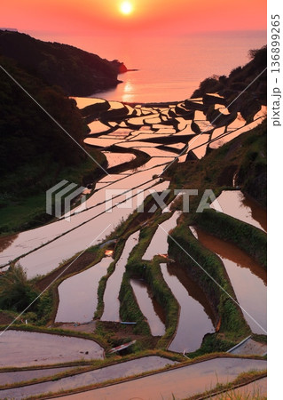 【石川県】浜野浦の棚田の夕景 136899265