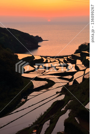 【石川県】浜野浦の棚田の夕景 136899267