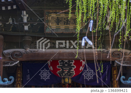 京都の街並み 京都の街並み 136899421