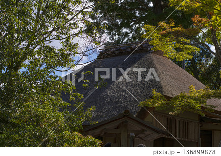 京都の金閣寺で散策 136899878