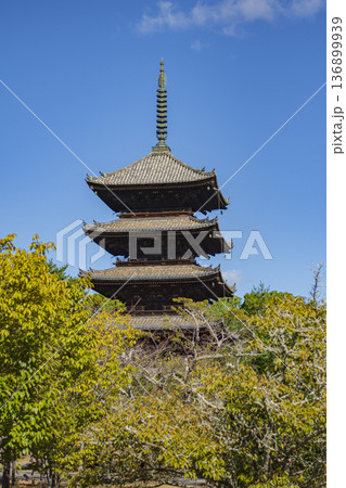 京都市街の散策 京都市街の散策 136899939
