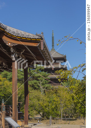 京都市街の散策 京都市街の散策 136899947