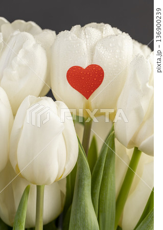 wet red heart-shaped sticker on wet white beautiful fresh tulips in the spring , beautiful white flowers tulips with red sticker symbolizing love, covered with water drops 136900239