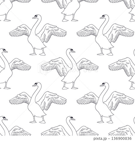 Monochrome vintage hand drawn swan with spread wings black and white seamless pattern Monochrome vintage hand drawn swan with spread wings black and white seamless pattern 136900836