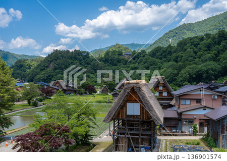 Traditional rice fields and gassho houses in Shirakawa-go village, Japan Traditional rice fields and gassho houses in Shirakawa-go village, Japan 136901574