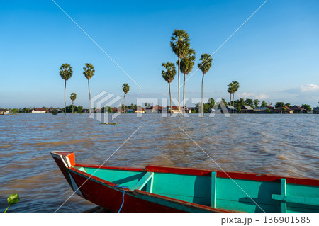 Bujis fishing boat near floating house, Lake Tempe, Indonesia 136901585