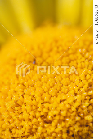 台湾 台北 台北市 136901643