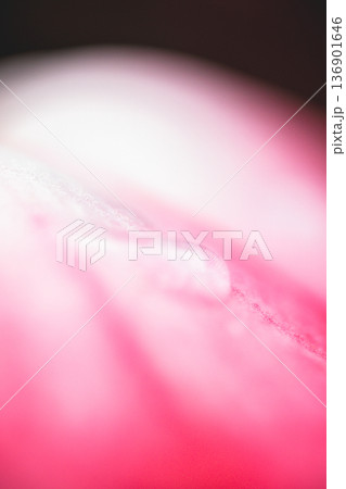 台湾 台北 台北市 136901646