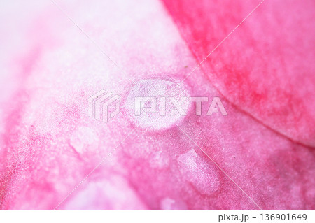 台湾 台北 台北市 136901649