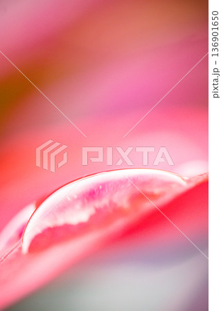 台湾 台北 台北市 136901650