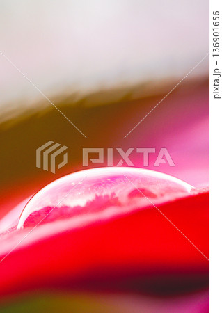 台湾 台北 台北市 136901656