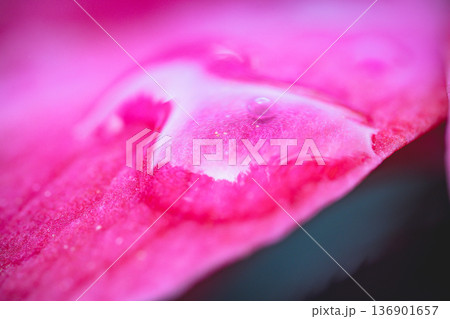 台湾 台北 台北市 136901657