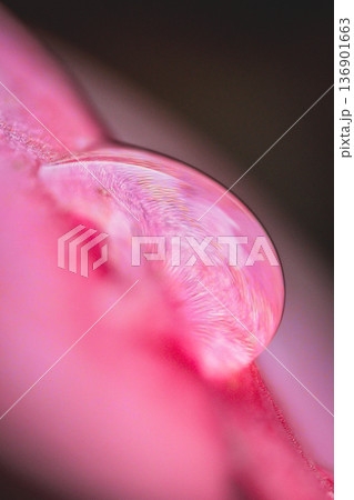 台湾 台北 台北市 136901663