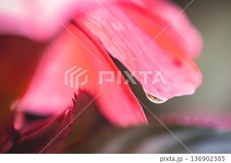 台湾 台北 台北市 136902385