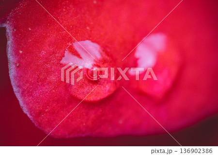 台湾 台北 台北市 136902386