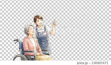 車椅子で桜を見に来ているシニアと介護士 136905471