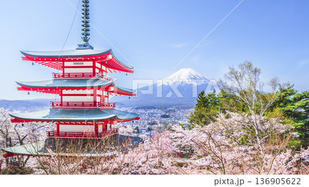 新倉山浅間公園から望む、忠霊塔と満開の桜と富士山【山梨県・富士吉田市】 136905622
