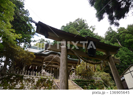 玉置神社（奈良県十津川村） 136905645