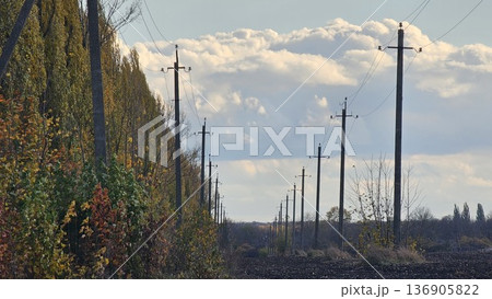Power lines countryside landscape rural dirt road curves through lush green hills, with telephone poles lining the path under a softly clouded sky. 136905822