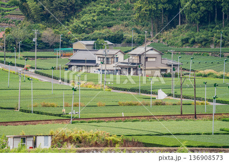島田市の大井川鐡道の抜里駅周辺の街並み(静岡県) 島田市の大井川鐡道の抜里駅周辺の街並み(静岡県) 136908573