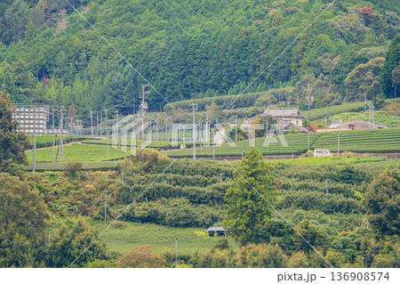 島田市の大井川鐡道の抜里駅周辺の街並み(静岡県) 136908574