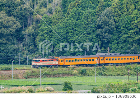 島田市の大井川鐡道の抜里駅周辺の風景(静岡県) 136908630