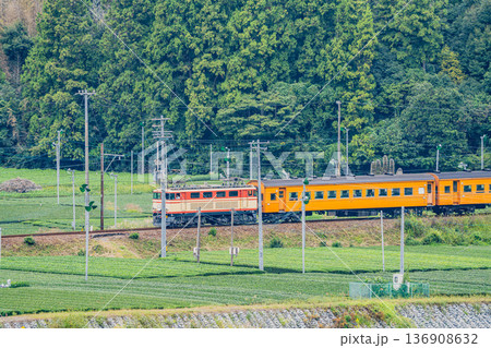 島田市の大井川鐡道の抜里駅周辺の風景(静岡県) 136908632