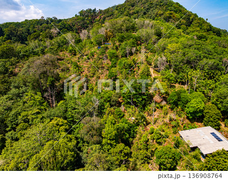 Aerial view rainforest trees ecology with healthy environment concept and summer background Aerial view rainforest trees ecology with healthy environment concept and summer background 136908764
