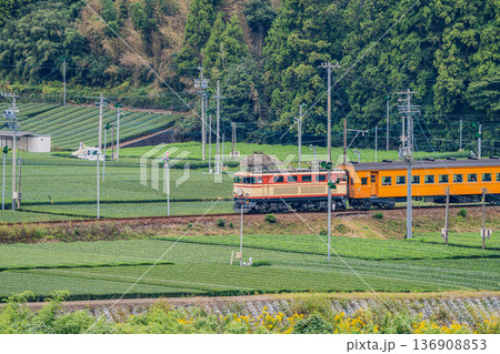 島田市の大井川鐡道の抜里駅周辺の風景(静岡県) 136908853